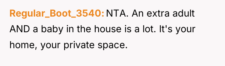 Regular_Boot_3540 NTA. An extra adult AND a baby in the...