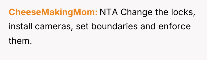 CheeseMakingMom NTA Change the locks, install cameras, set boundaries and...