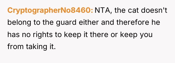 CryptographerNo8460 NTA, the cat doesn't belong to the guard either...