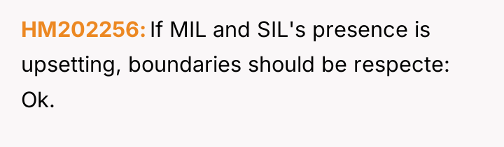 HM202256 If MIL and SIL's presence is upsetting, boundaries should...
