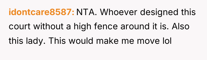 idontcare8587 NTA. Whoever designed this court without a high fence...