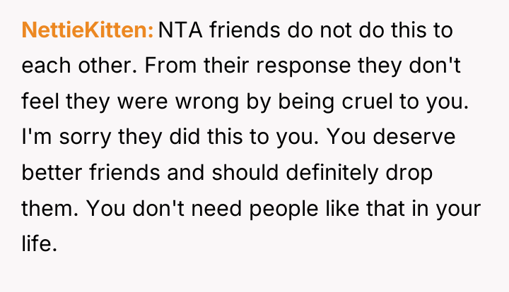 NettieKitten NTA friends do not do this to each other....