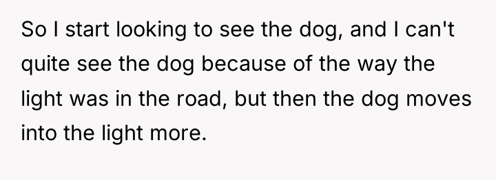 So I start looking to see the dog, and I...