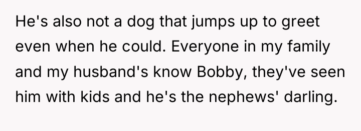 He's also not a dog that jumps up to greet...