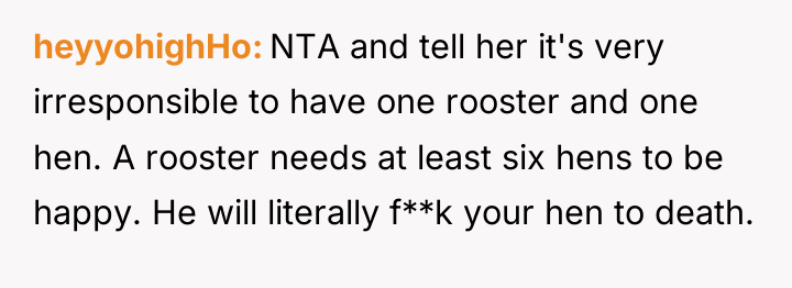 heyyohighHo NTA and tell her it's very irresponsible to have...