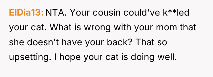 ElDia13 NTA. Your cousin could've k**led your cat. What is...