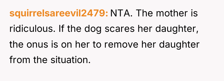 squirrelsareevil2479 NTA. The mother is ridiculous. If the dog scares...