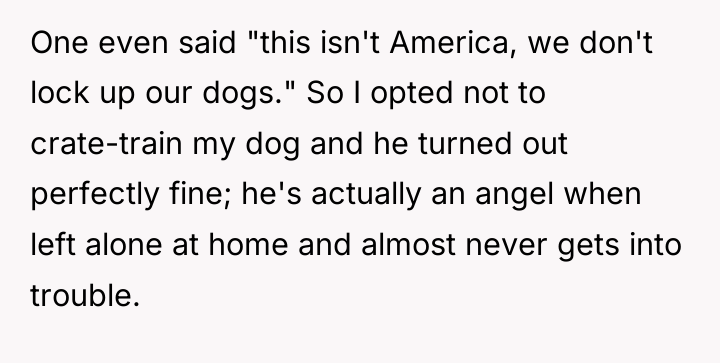 One even said "this isn't America, we don't lock up...