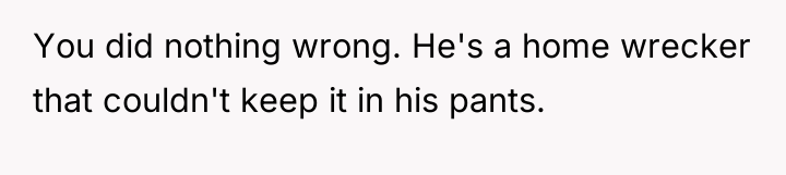 You did nothing wrong. He's a home wrecker that couldn't...