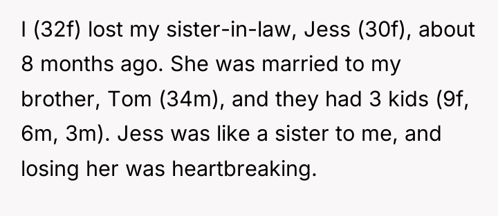 I (32f) lost my sister-in-law, Jess (30f), about 8 months...