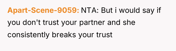 Apart-Scene-9059 NTA: But i would say if you don't trust...