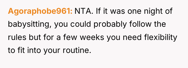 Agoraphobe961 NTA. If it was one night of babysitting, you...