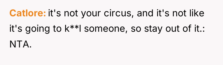 Catlore it's not your circus, and it's not like it's...