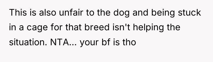 This is also unfair to the dog and being stuck...