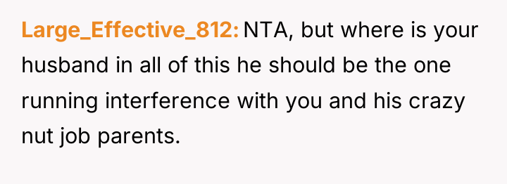 Large_Effective_812 NTA, but where is your husband in all of...