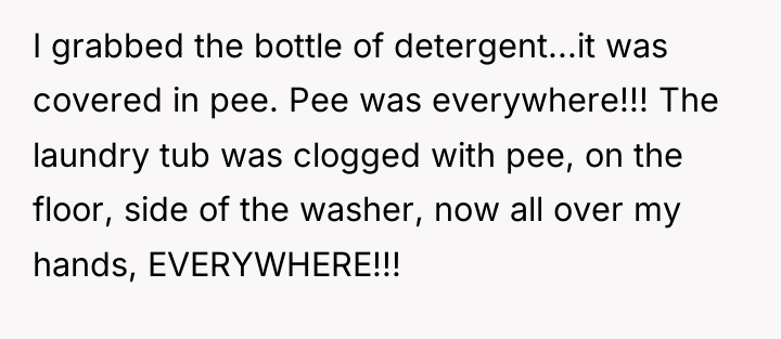 I grabbed the bottle of detergent...it was covered in pee....