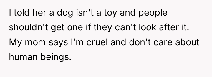 I told her a dog isn't a toy and people...