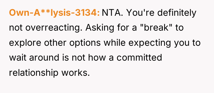 Own-A**lysis-3134 NTA. You're definitely not overreacting. Asking for a "break"...