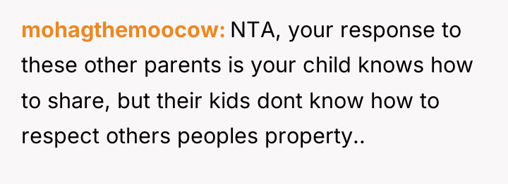 mohagthemoocow NTA, your response to these other parents is your...