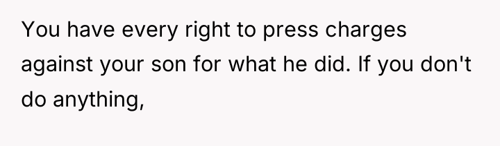 You have every right to press charges against your son...
