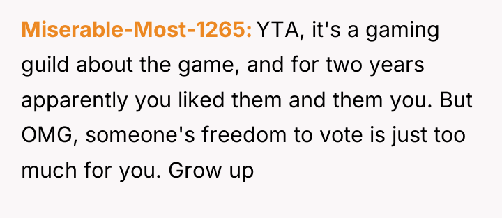 Miserable-Most-1265 YTA, it's a gaming guild about the game, and...