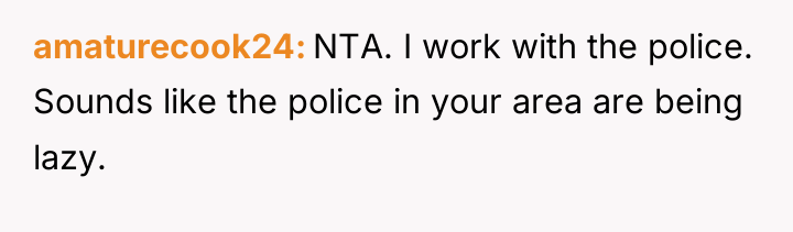amaturecook24 NTA. I work with the police. Sounds like the...