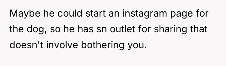 Maybe he could start an instagram page for the dog,...