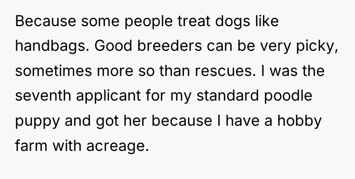 Because some people treat dogs like handbags. Good breeders can...