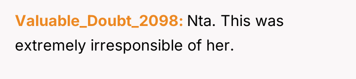 Valuable_Doubt_2098 Nta. This was extremely irresponsible of her.