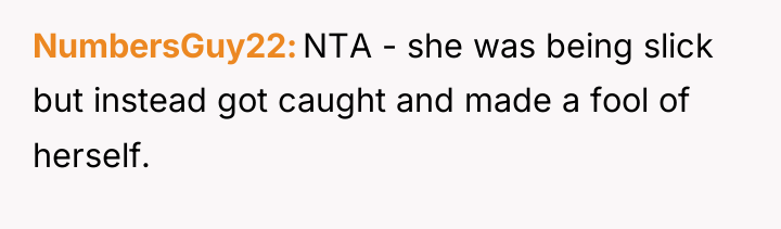 NumbersGuy22 NTA - she was being slick but instead got...