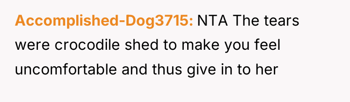 Accomplished-Dog3715 NTA The tears were crocodile shed to make you...