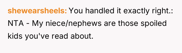 shewearsheels You handled it exactly right.: NTA - My niece/nephews...