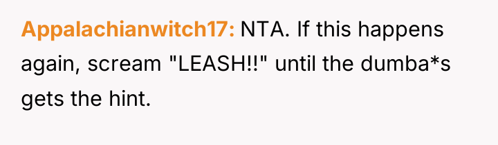 Appalachianwitch17 NTA. If this happens again, scream "LEASH!!" until the...
