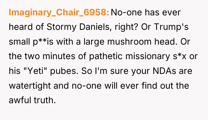 Imaginary_Chair_6958 No-one has ever heard of Stormy Daniels, right? Or...