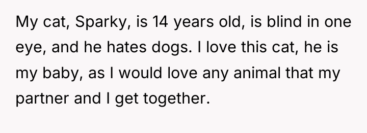 My cat, Sparky, is 14 years old, is blind in...