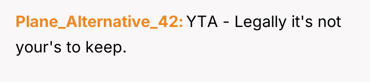 Plane_Alternative_42 YTA - Legally it's not your's to keep.