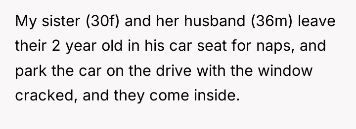My sister (30f) and her husband (36m) leave their 2...