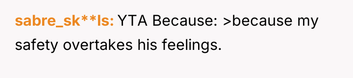 sabre_sk**ls YTA Because: >because my safety overtakes his feelings.