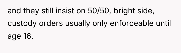 and they still insist on 50/50, bright side, custody orders...