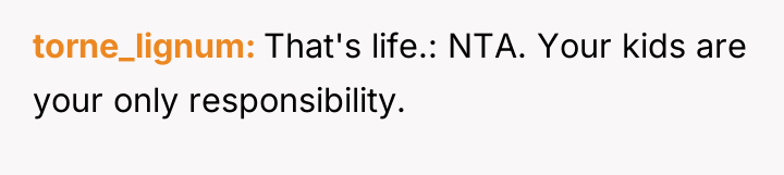 torne_lignum That's life.: NTA. Your kids are your only responsibility.