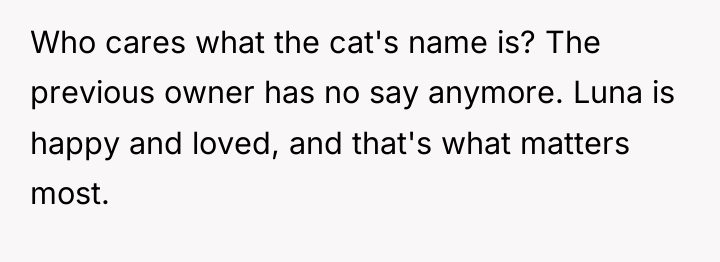Who cares what the cat's name is? The previous owner...