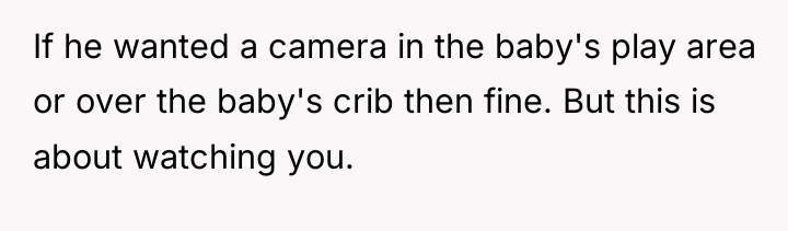 If he wanted a camera in the baby's play area...