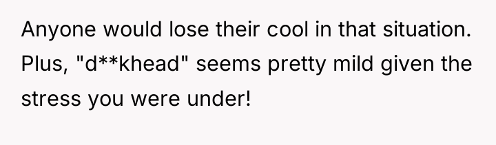 Anyone would lose their cool in that situation. Plus, "d**khead"...