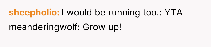 sheepholio I would be running too.: YTA meanderingwolf: Grow up!