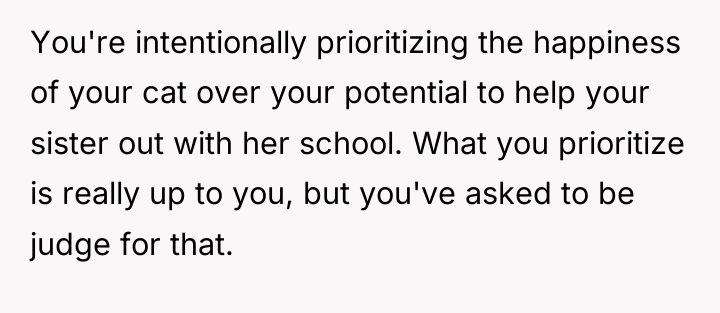 You're intentionally prioritizing the happiness of your cat over your...