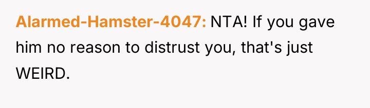 Alarmed-Hamster-4047 NTA! If you gave him no reason to distrust...