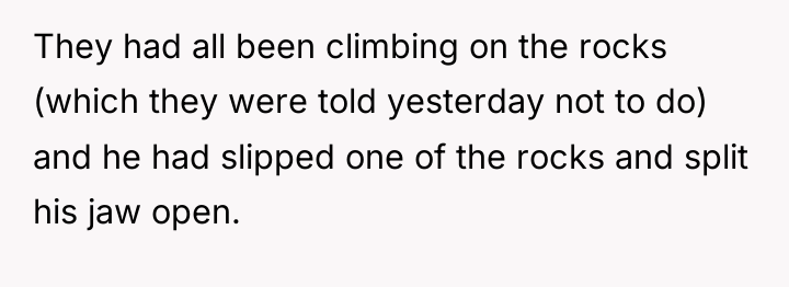 They had all been climbing on the rocks (which they...