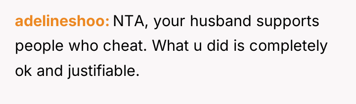 adelineshoo NTA, your husband supports people who cheat. What u...