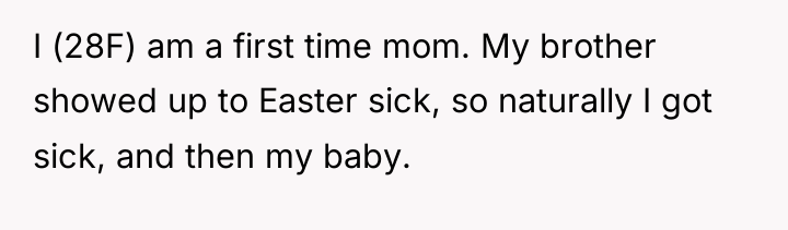 I (28F) am a first time mom. My brother showed...