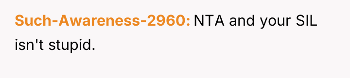 Such-Awareness-2960 NTA and your SIL isn't stupid.